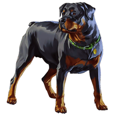 Sell Accounts GtaV, Rottweiler dog  