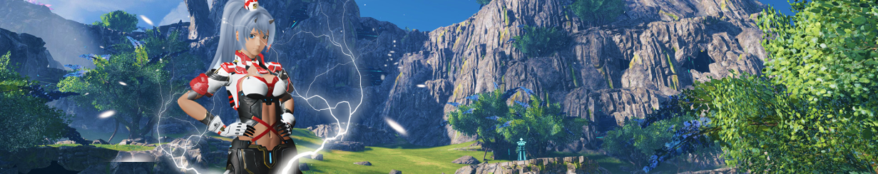 PSO2: NGS Power Leveling