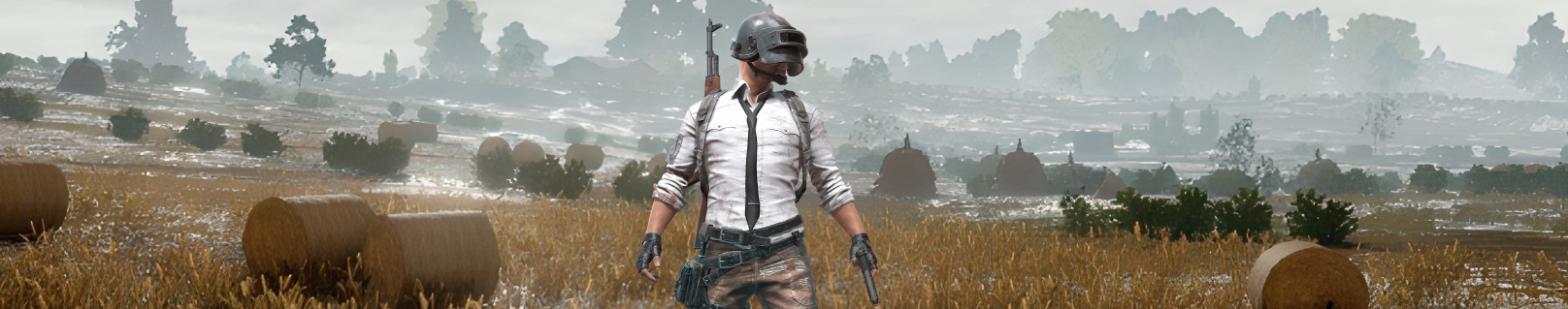 PUBG Mobile Player Unknown
