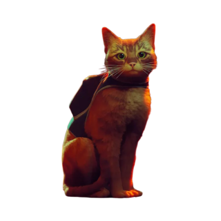 Xbox Stray