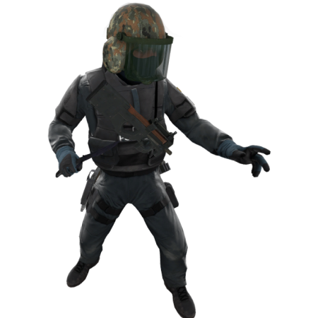 Buy CS2 Accounts, Riot Police