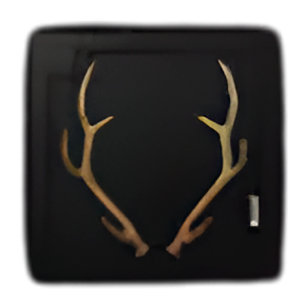 Buy RuneScape: Dragonwilds Items