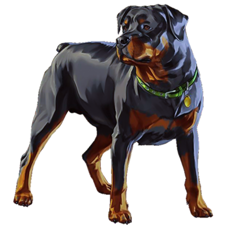Buy GTA V Accounts, Chop dog Pet