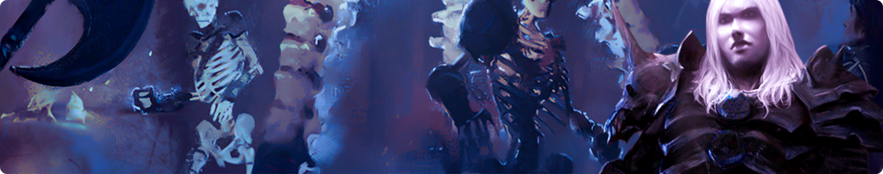 sell D2R accounts, necromancer and his minions