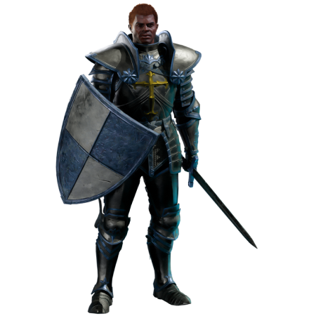 sell D2R accounts, paladin