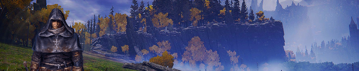 sell elden ring runes, sell golden runes elden ring, confessor with a broadsword on a plain