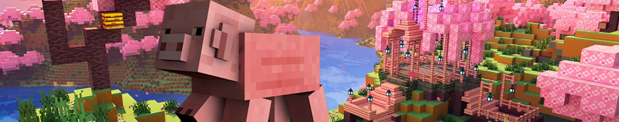 Sell Minecraft Items