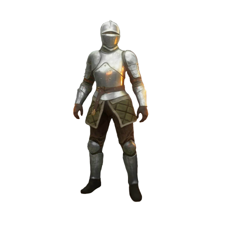 Sell New World Coins, Knight with Shiny armor