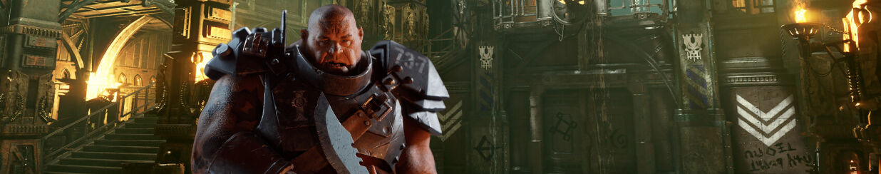 buy warhammer 40,000: darktide accounts, buy darktide accounts, ogryn  