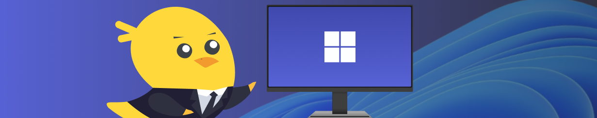 Buy Windows 11 Product Keys