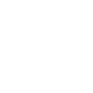 wowtlk power leveling logo