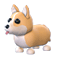 Adopt Me > Corgi > NFR