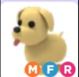 Adopt Me > Dog > MFR