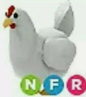 RBX Product