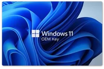 Windows 11 Pro OEM Key (Global)
