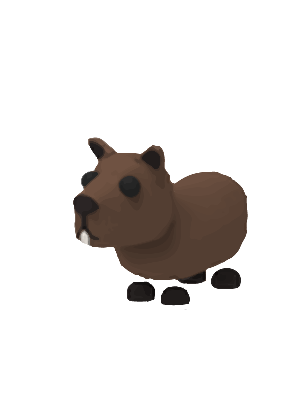 Adopt Me > Capybara > MFR