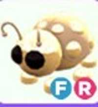 Adopt Me > Golden Ladybug > FR