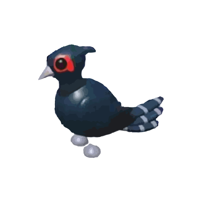 Adopt Me > Black-Chested Pheasant > NFR