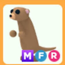Adopt Me > Meerkat > MFR