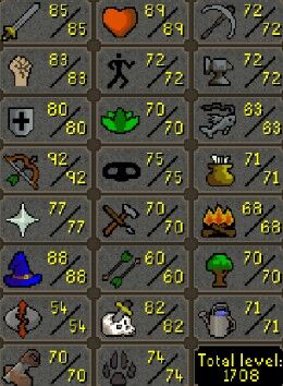 Main | 1700+ Total | 250+ QP | 92 Range | 85 Attack | 88 Magic | E. Void | B Gloves | D Def | Torso | Skilling Outfits CHICKSFOS115