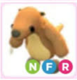 Adopt Me > Ground Sloth > NFR