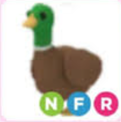 Adopt Me > Drake > NFR