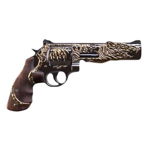 NEW RAID Exotic Pistol - Regulus