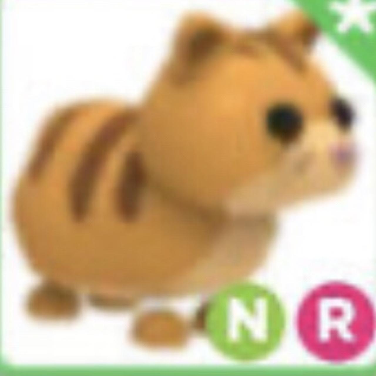 RBX Product