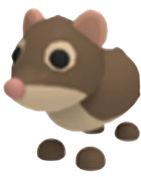 Adopt Me > Shrew > NFR